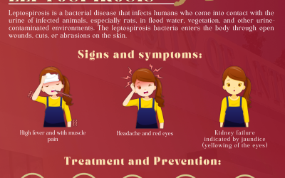 Stay Safe This Rainy Season: A Guide to Preventing Leptospirosis