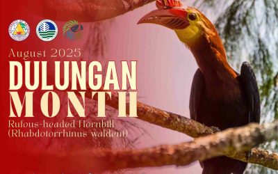 Hear the Dulungan Call: A Month of Celebration